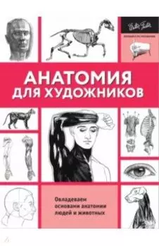 Анатомия для художников