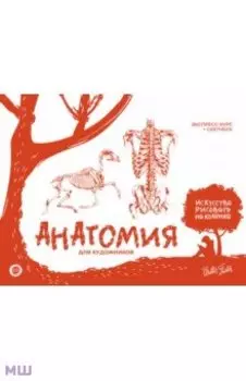 Анатомия для художников. Экспресс-курс + скетчбук