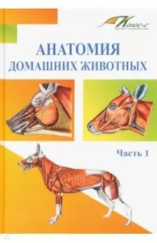 Анатомия домашних животных. Учебник. Часть 1