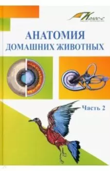Анатомия домашних животных. Учебник. Часть 2