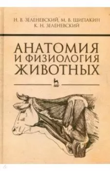 Анатомия и физиология животных. Учебник для СПО