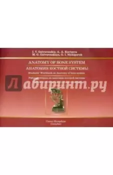 Анатомия костной системы. Рабочая тетрадь к учебному пособию на английском языке