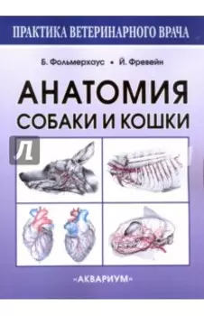 Анатомия собаки и кошки