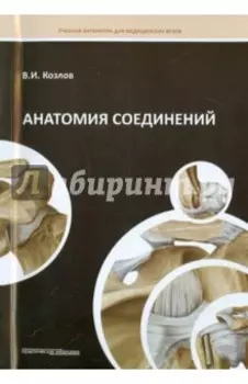 Анатомия соединений