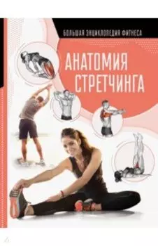 Анатомия стретчинга