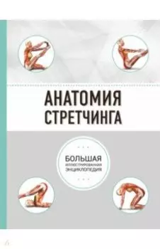 Анатомия стретчинга. Большая иллюстрированная энциклопедия