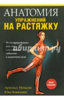 Анатомия упражнений на растяжку
