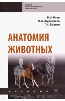 Анатомия животных. Учебник