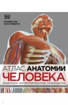 Атлас анатомии человека. Подробное иллюстрированное руководство