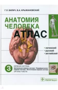 Атлас анатомии человека. В 3-х томах. Том 3