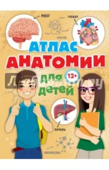 Атлас анатомии для детей