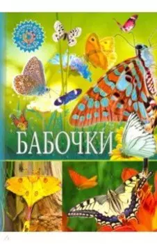 Бабочки