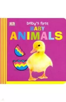 Baby Animals