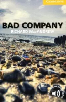 Bad Company. Level 2