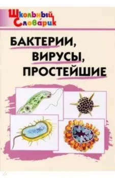 Бактерии, вирусы, простейшие