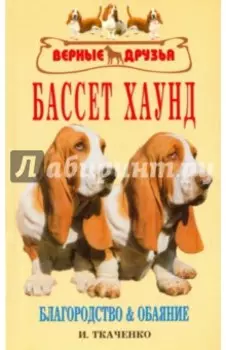Бассет хаунд. Благородство и обаяние