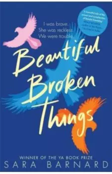 Beautiful Broken Things