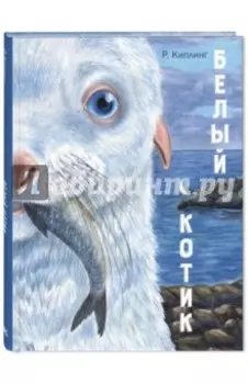 Белый котик