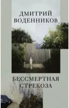 Бессмертная стрекоза