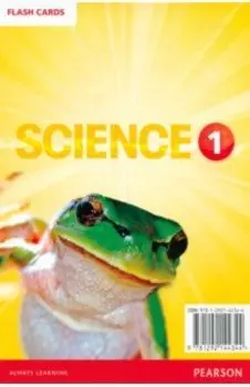 Big Science. Level 4. Flashcards