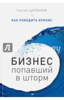 Бизнес, попавший в шторм. Как победить кризис