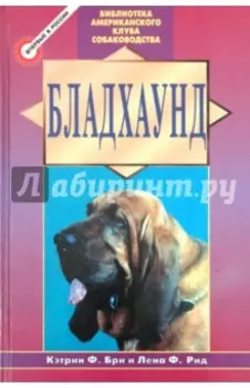 Бладхаунд