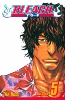 Bleach. Volume 5