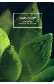 Блокнот для записи иностранных слов Суккулент