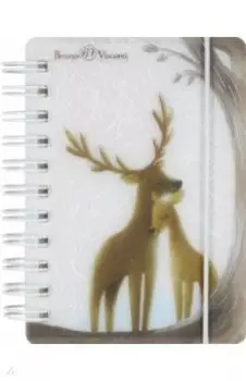 Блокнот Forest, 80 листов, А7, клетка, 3 вида