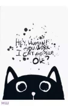 Блокнот Hey human. Кот, 32 листа, клетка