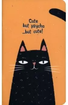 Блокнот Silly. Черный кот, 48 листов, линия