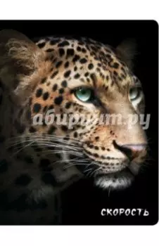 Блокнот "Скорость", А5, линейка