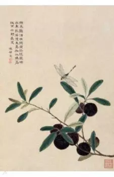 Блокнот Стрекоза