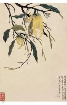 Блокнот Желтые плоды Рука Будды