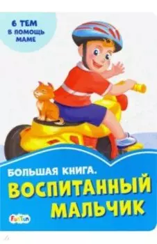Большая книга. Воспитанный мальчик
