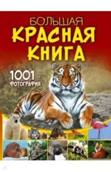 Большая красная книга. 1001 фотография