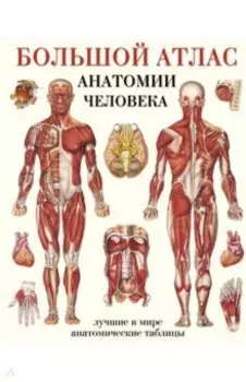 Большой атлас анатомии человека