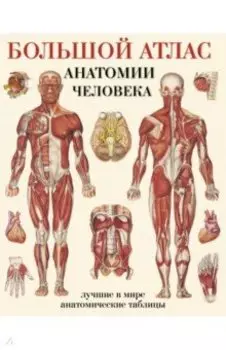Большой атлас анатомии человека