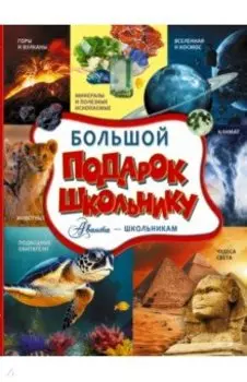 Большой подарок школьнику