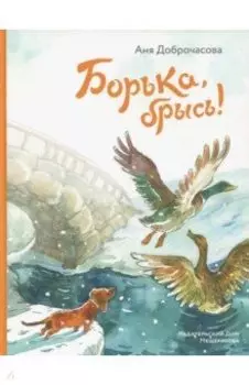 Борька, брысь!