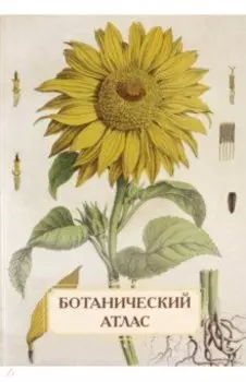 Ботанический атлас. Н.П. Животовский