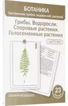 Ботаника. Систематика грибов, водорослей, растений. Грибы. Водоросли. Споровые растения. 23 карточки