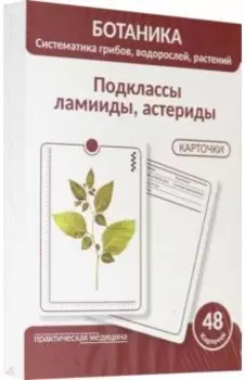 Ботаника. Систематика грибов, водорослей, растений. Подклассы ламииды, астериды. 48 карточек