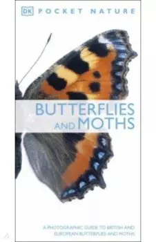 Butterflies and Moths
