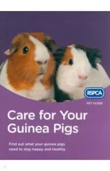 Care for Your Guinea Pigs