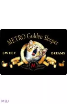 Чехол на проездной Metro Golden Sleeper