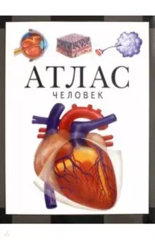 Человек. Атлас