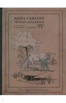 Чёрный Красавчик