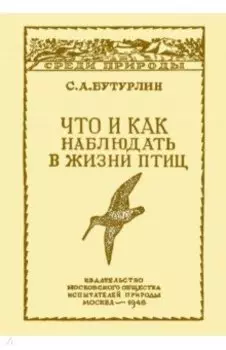 Что и как наблюдать в жизни птиц
