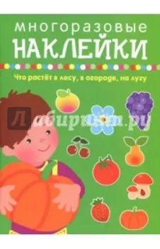 Что растет в лесу, в огороде, на лугу